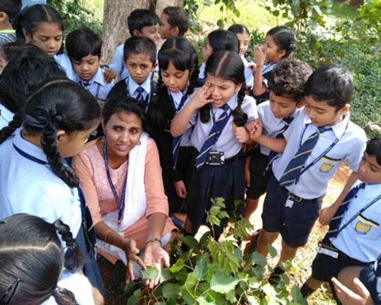 Siddhartha Public School